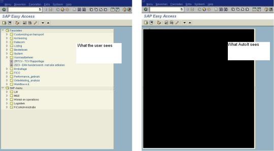 SAP-main-screen-side-by-side